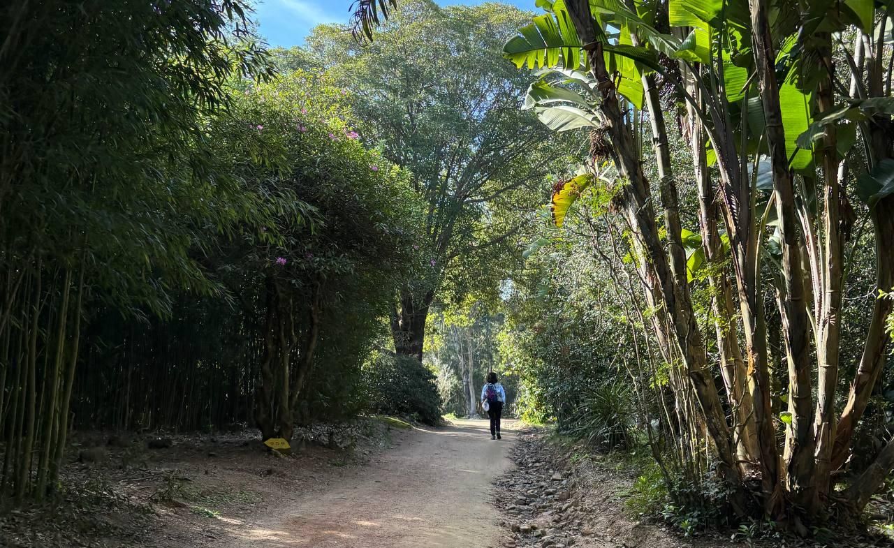 Maldonado: Rundgang durch Naturpark inklusive wunderschöner Aussicht