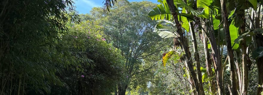 Maldonado : visite d'un parc naturel avec vue magnifique