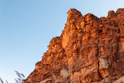 Wadi Disah Adventure (from Al Ula)