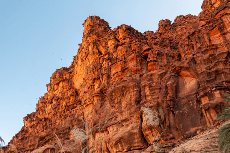 Aventura no Wadi Disah (a partir de Al Ula)