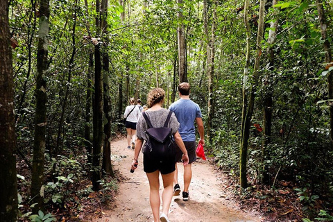 HCM: Excursión a Tay Ninh, la Montaña de la Virgen Negra y el Templo de Cao DaiVisita privada (2 sitios)