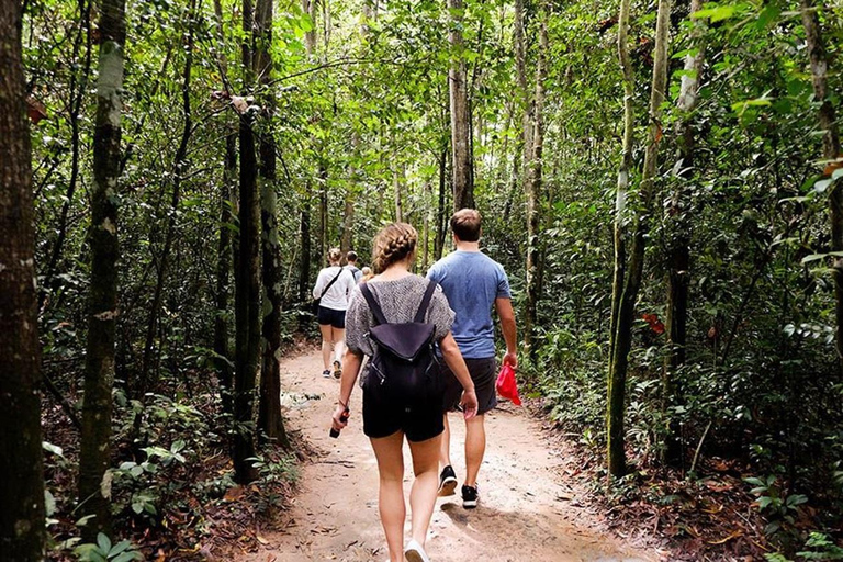 HCM: Excursión a Tay Ninh, la Montaña de la Virgen Negra y el Templo de Cao DaiVisita privada (2 sitios)