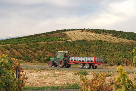 RIOJA: WIJNTOUR MET EEN WIJNBOOMEIGENAAR