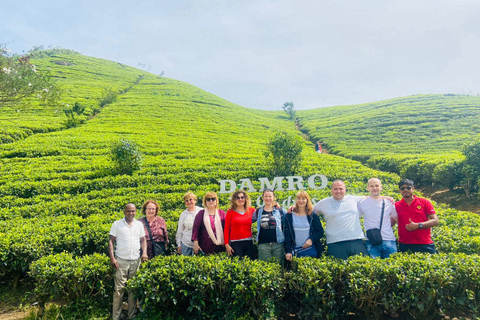 Excursão de um dia a Nuwara Eliya saindo de Kandy (tour particular)