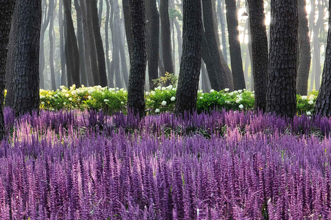 From Busan: 5 Highlights Pohang & Ulsan One Day City Tour Group tour: From Haeundae Station Ex.5