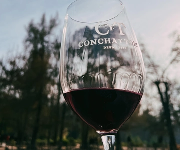 Santiago: Concha y Toro with transfer, tasting & gift cup
