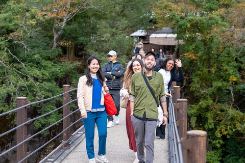 Kanazawa: Shirakawa-go privé-dagtour met lunch
