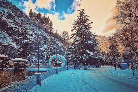 Tbilissi : Visite de la station de ski de Bakuriani avec activités hivernales