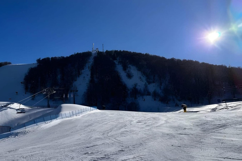 From Tbilisi: Borjomi and Bakuriani Day Trip