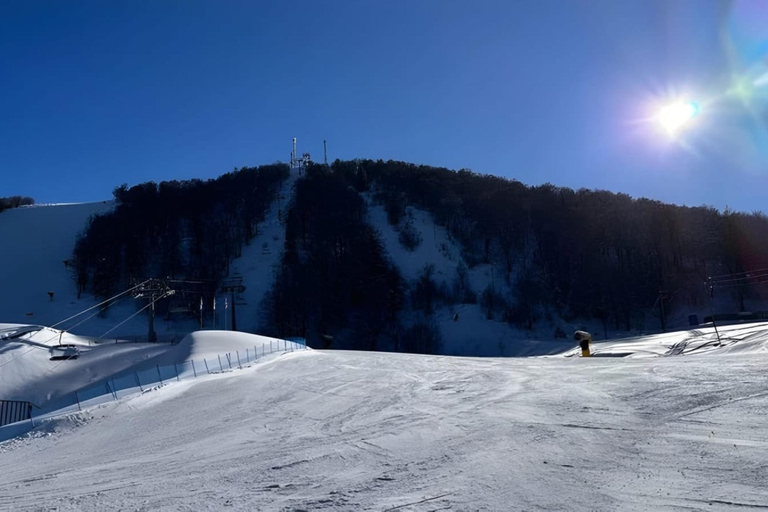 From Tbilisi: Borjomi and Bakuriani Day Trip