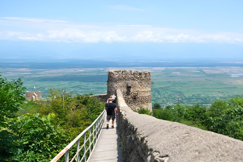 Tbilisi: Private Kakheti Wine Tour & Sighnaghi Great Wall