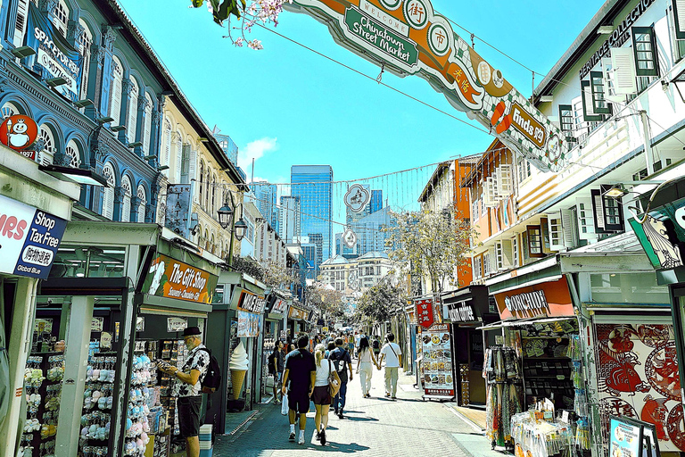 Singapore: Unravel Hidden Gems in a Private Customized Tour Private Customized Tour - 2 hours