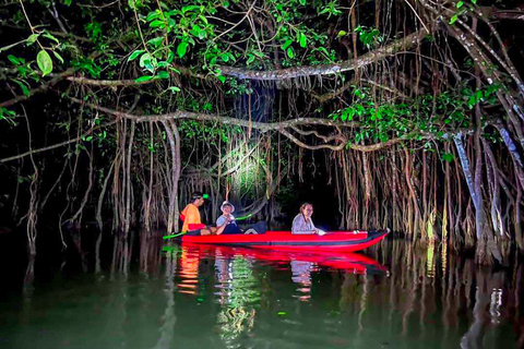 Khao Lak: Nattpaddling och djungelvandring i Lilla Amazonas