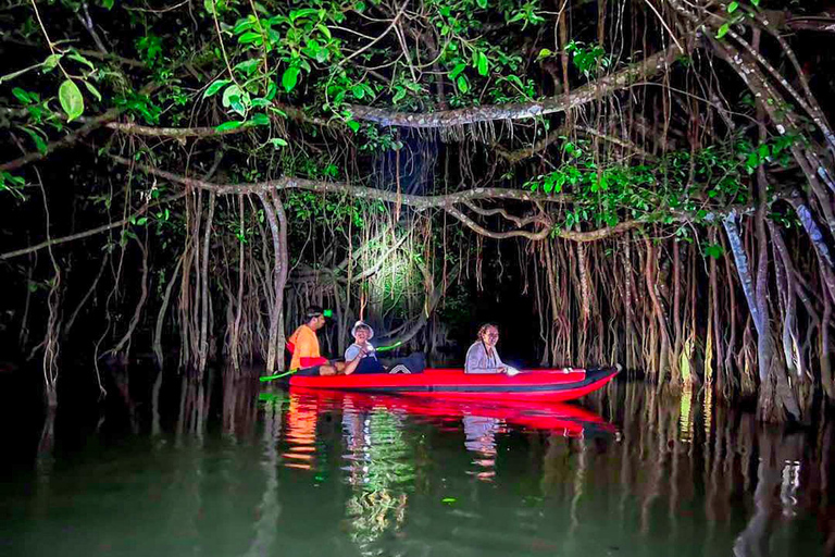 Khao Lak: Canoa notturna e passeggiata nella giungla della piccola Amazzonia