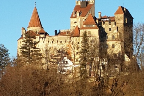 Brasov : excursion d'une journée aux châteaux de Bran, Peles et Cantacuzino