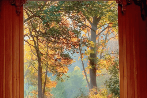 Hangzhou: Day & Night Combo with Scenic Visit & Show Hangzhou: Day & Night Combo with Scenic Visit & Show