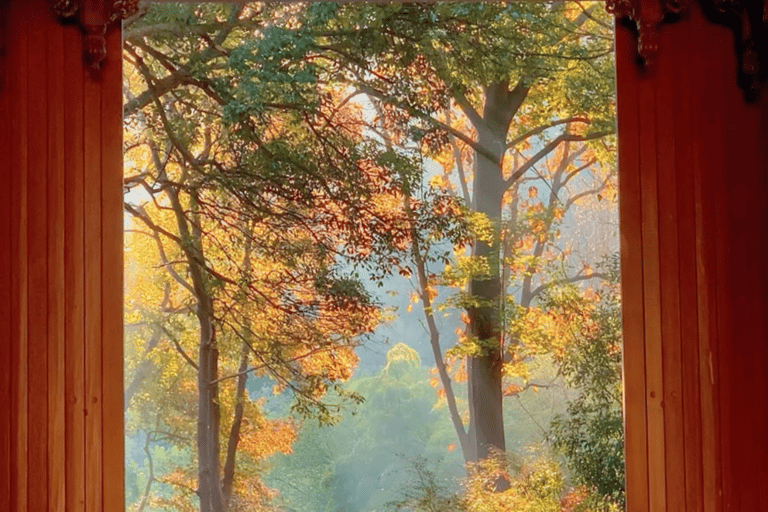 Hangzhou: Day & Night Combo with Scenic Visit & Show Hangzhou: Day & Night Combo with Scenic Visit & Show