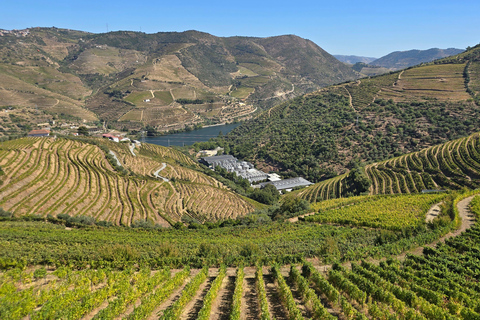 Douro Valley: Private Wine Tour with Lunch