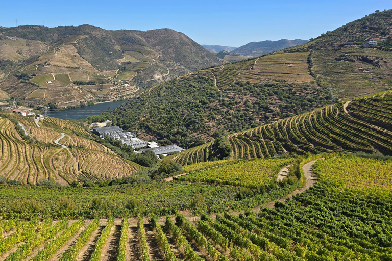 Douro Valley: Private Wine Tour with Lunch