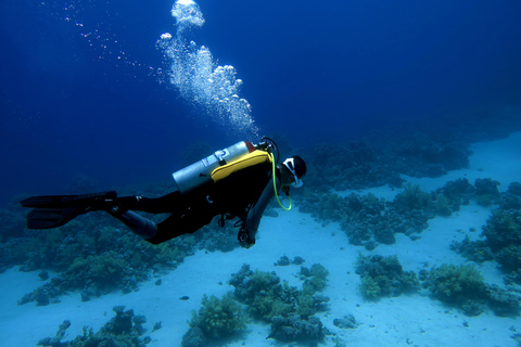 Sharm El Sheikh: Tiran Island Boat Diving & Snorkeling Intro Diving & Snorkeling – No Certification Required