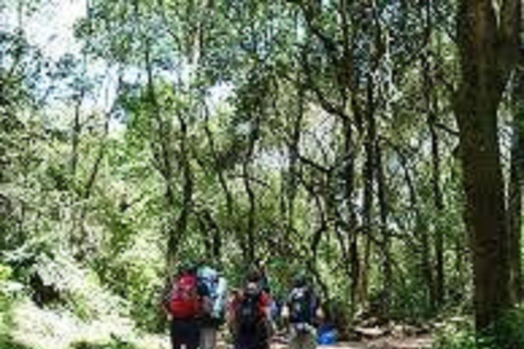 Il miglior tour di un giorno: Percorso di 1 giorno Kilimanjaro Lemosho