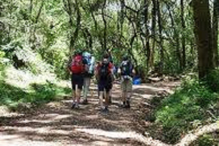 Bästa endagsutflykt: 1 dag Kilimanjaro Lemosho Route