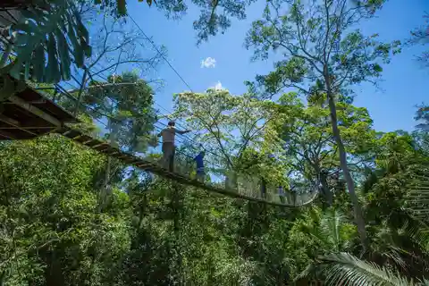 Desde Puerto Maldonado: Excursión de 2 días a la Reserva Nacional de Tambopata