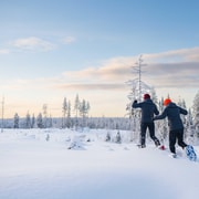 Rovaniemi : aventure en raquettes avec photos et barbecue