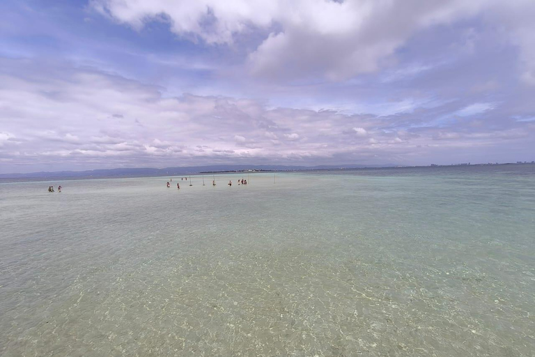 Cebu Nalusuan Island & Marine Sanctuary | Joiners Tour Nalusuan Island Tour