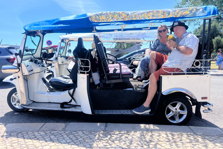 Tuk Tuk Tour Lisbon Guided Tour in Lisbon