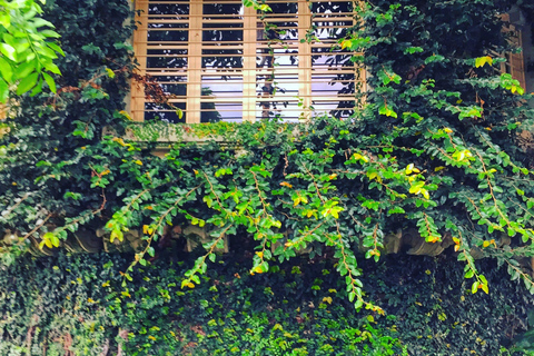 Tour della città di San José con caffè, cioccolato e degustazioni