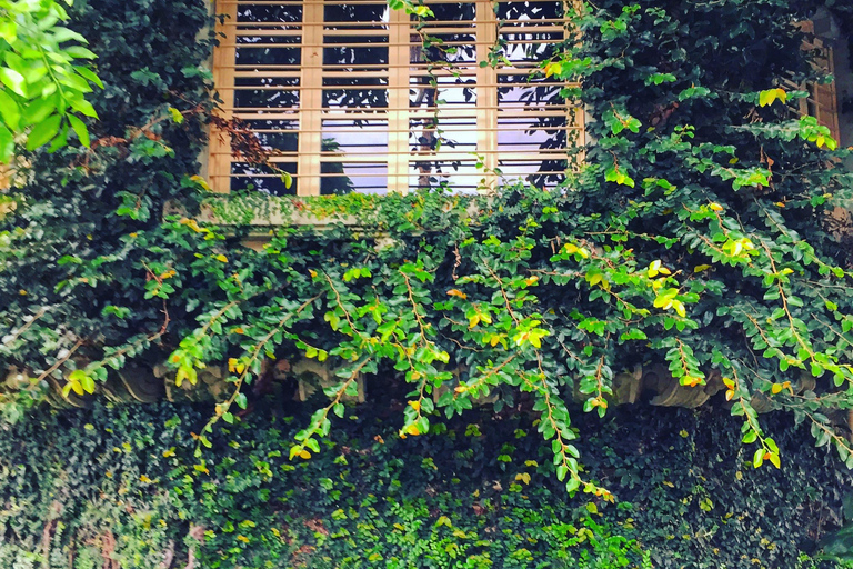 Tour della città di San José con caffè, cioccolato e degustazioni