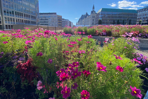 Oslo: Private Rundgang _Stadt-Highlights &amp; versteckte JuwelenOslo: Private Tour zu Fuß – Highlights der Stadt &amp; versteckte Schätze
