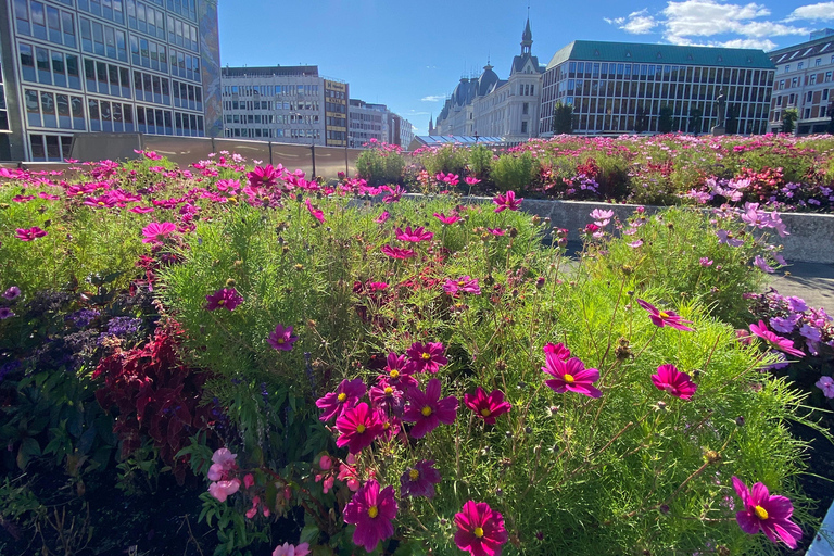 Oslo: Private Rundgang _Stadt-Highlights &amp; versteckte JuwelenOslo: Private Tour zu Fuß – Highlights der Stadt &amp; versteckte Schätze