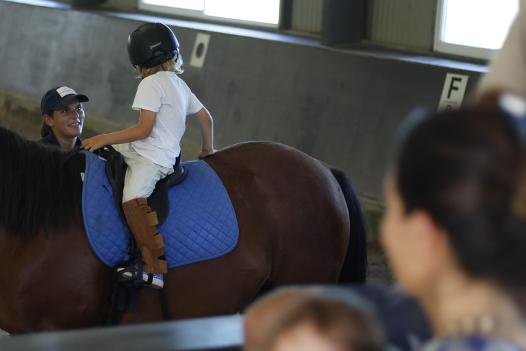 Jose Ignacio: Unforgettable Coastal Horseback at the Beach