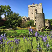 Cobh/Cork: Blarney Castle & Free Walking Tour Of Kinsale Cobh/Cork: Blarney Castle & Free Walking Tour Of Kinsale