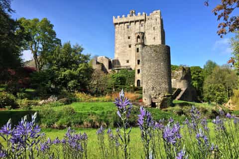 Cobh/Cork: Blarney Castle & Free Walking Tour Of Kinsale - Image 3