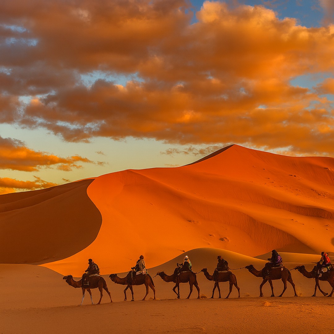 Depuis Marrakech : excursion de 3 jours dans le désert vers Merzouga et camp de luxe. - dromadaire