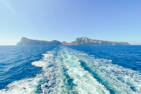 Positano: tour in barca condiviso di Capri e Grotta Azzurra con bevande