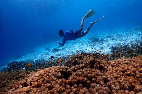 Z Phuket: rejs łodzią motorową z rurką na wyspach Similan