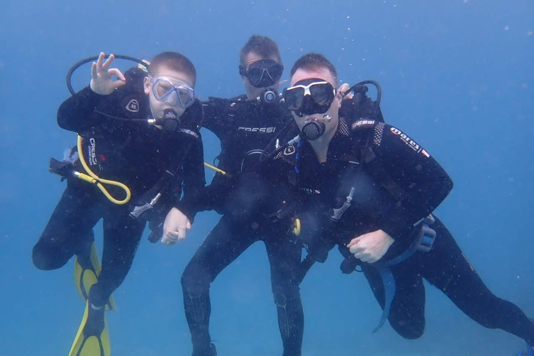 Zanzibar: Upptäck dykningKizimkazi: Menai Bay – upptäck dykning