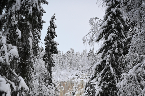 Rovaniemi: Korouoma Frozen Waterfalls Hike & Hot BBQ Lunch Rovaniemi: Korouoma Small Group Guided Hike & Hot BBQ lunch
