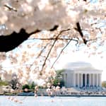 Washington DC in 1 giorno: oltre 10 tappe, giro in barca, National Mall, biglietti