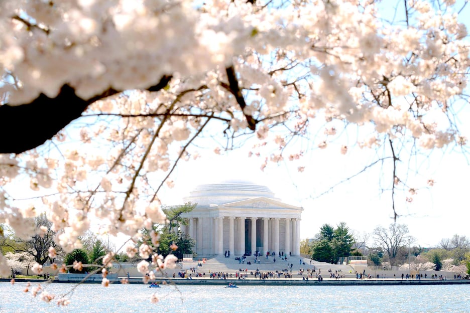 Washington, D.C. an einem Tag: 10+ Stopps, Bootsfahrt, National Mall, Eintrittskarten