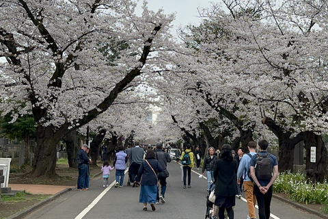 Tradycyjne stare miasto w Tokio - Yanaka, Nezu i Ueno SakuragiTokio : Stare tradycyjne miasto~Yanaka,Nezu&amp;Ueno Sakuragi