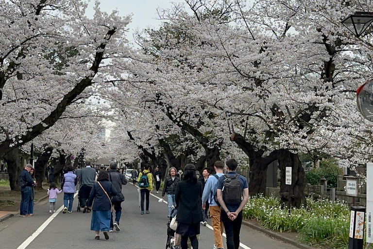 Tradycyjne stare miasto w Tokio - Yanaka, Nezu i Ueno SakuragiTokio : Stare tradycyjne miasto~Yanaka,Nezu&amp;Ueno Sakuragi