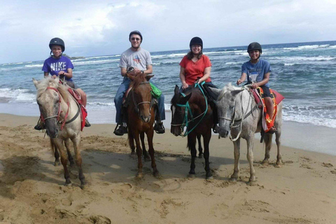 Punta Cana: Los Haitises Park, Horseback Ride & Lunch Tour