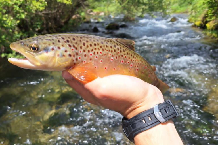 Bulgaria: Guided Fly Fishing Day Trip