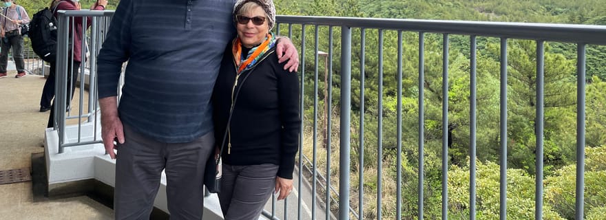 Visite privée de 6 heures à Kagoshima avec un guide agréé par le gouvernement