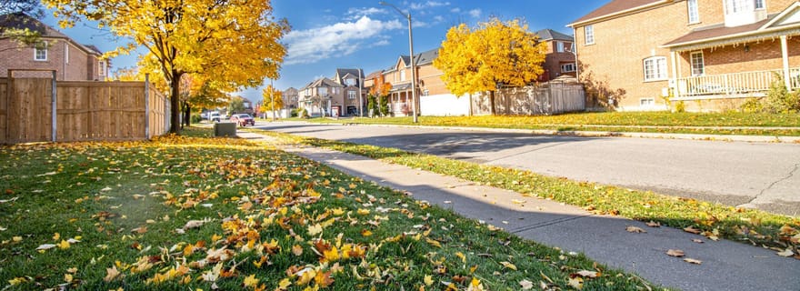 Le meilleur de Brampton : Visite privée à pied avec un habitant de la ville